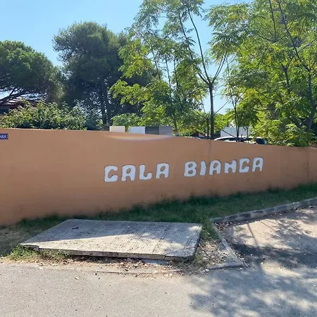 Bianca Borgo (Corsica)